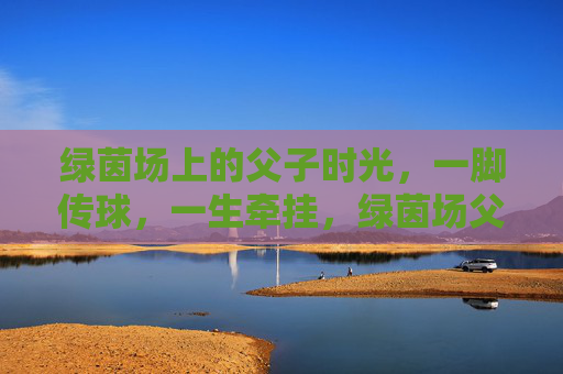 绿茵场上的父子时光,一脚传球,一生牵挂,绿茵场父子,一脚传球,一生牵挂 绿茵场上的父子时光,一脚传球,一生牵挂,绿茵场父子,一脚传球,一生牵挂