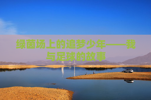 绿茵场上的追梦少年——我与足球的故事 绿茵场上的追梦少年——我与足球的故事