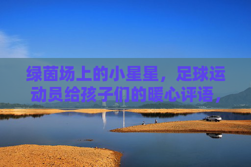 绿茵场上的小星星，足球运动员给孩子们的暖心评语，绿茵小星星，球员暖心评语