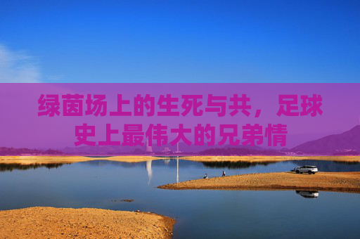 绿茵场上的生死与共，足球史上最伟大的兄弟情