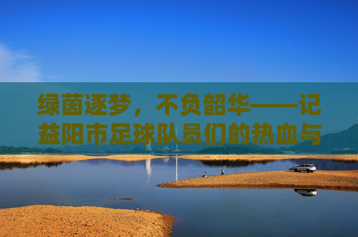 绿茵逐梦，不负韶华——记益阳市足球队员们的热血与坚守，逐梦绿茵，热血坚守——益阳足球队员