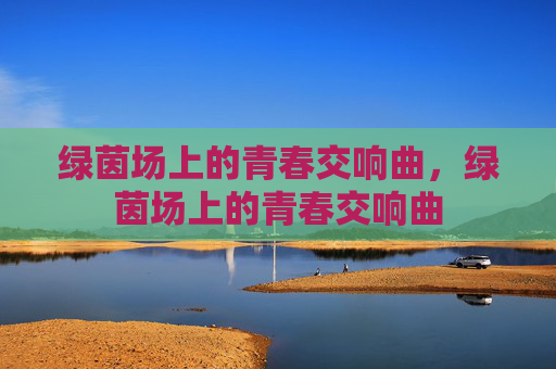 绿茵场上的青春交响曲，绿茵场上的青春交响曲