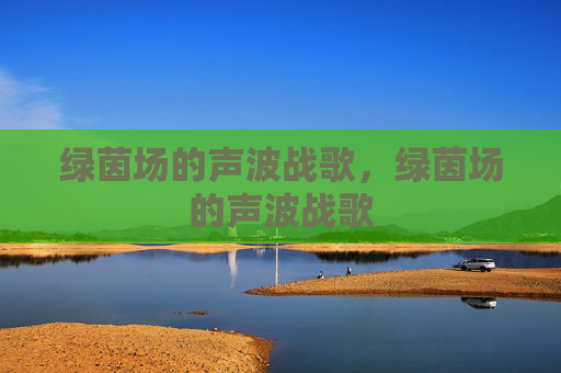 绿茵场的声波战歌,绿茵场的声波战歌 绿茵场的声波战歌,绿茵场的声波战歌