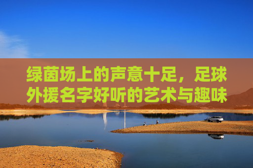 绿茵场上的声意十足，足球外援名字好听的艺术与趣味，足球外援名，绿茵场上的声意与艺术趣味