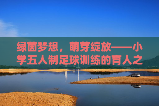 绿茵梦想，萌芽绽放——小学五人制足球训练的育人之旅，绿茵育新苗，小学五人制足球的育人之旅
