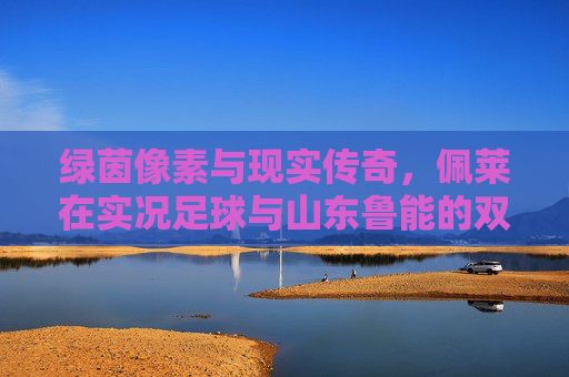 绿茵像素与现实传奇,佩莱在实况足球与山东鲁能的双重印记,佩莱,绿茵像素与山东鲁能的双重印记 绿茵像素与现实传奇,佩莱在实况足球与山东鲁能的双重印记,佩莱,绿茵像素与山东鲁能的双重印记