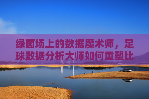 绿茵场上的数据魔术师，足球数据分析大师如何重塑比赛，绿茵场上的数据魔术师，重塑比赛的力量