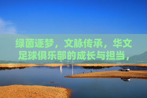绿茵逐梦,文脉传承,华文足球俱乐部的成长与担当,华文足球,逐梦绿茵,传承文脉的成长担当 绿茵逐梦,文脉传承,华文足球俱乐部的成长与担当,华文足球,逐梦绿茵,传承文脉的成长担当