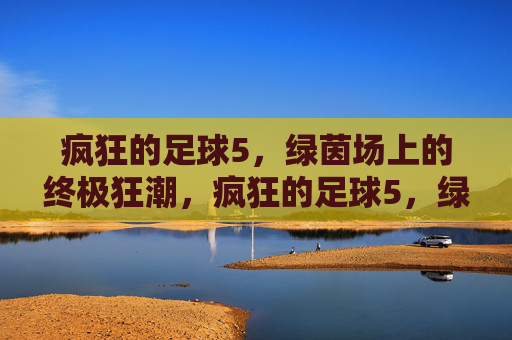 疯狂的足球5，绿茵场上的终极狂潮，疯狂的足球5，绿茵场终极狂潮