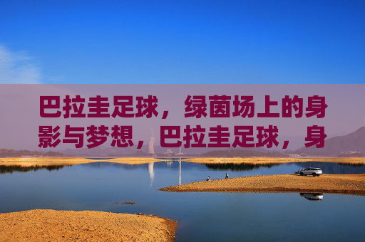 巴拉圭足球，绿茵场上的身影与梦想，巴拉圭足球，身影逐梦，绿茵为章