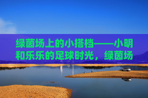 绿茵场上的小搭档——小明和乐乐的足球时光，绿茵场上的足球搭档时光
