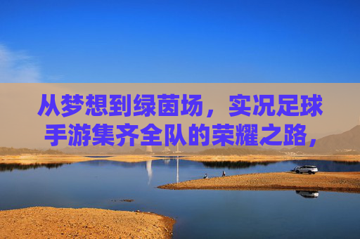 从梦想到绿茵场，实况足球手游集齐全队的荣耀之路，绿茵逐梦，实况足球手游的全队荣耀之路