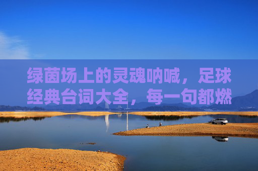 绿茵场上的灵魂呐喊，足球经典台词大全，每一句都燃爆热血！绿茵场热血呐喊，足球经典台词大全