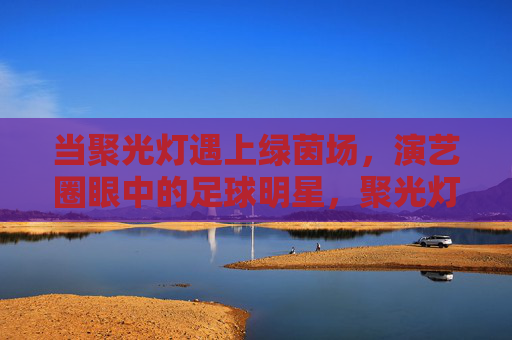 当聚光灯遇上绿茵场，演艺圈眼中的足球明星，聚光灯与绿茵场，演艺圈眼中的足球星