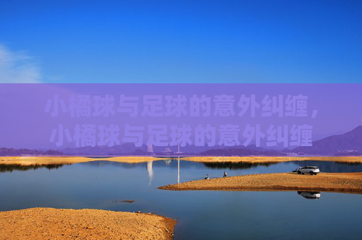 小橘球与足球的意外纠缠，小橘球与足球的意外纠缠
