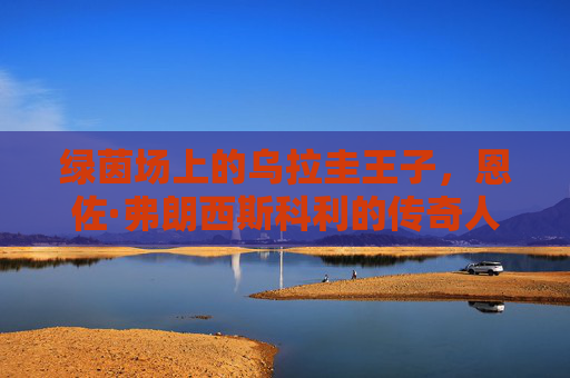 绿茵场上的乌拉圭王子，恩佐·弗朗西斯科利的传奇人生，绿茵场上的乌拉圭王子，恩佐·弗朗西斯科利的传奇人生