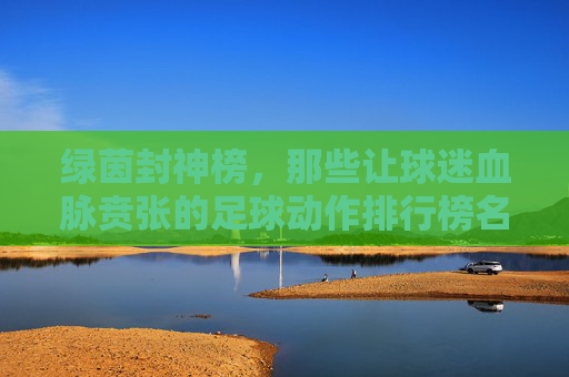 绿茵封神榜，那些让球迷血脉贲张的足球动作排行榜名称