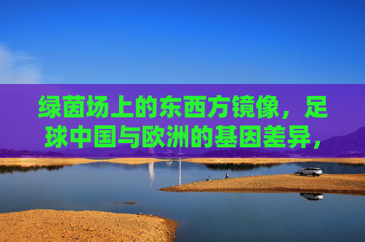 绿茵场上的东西方镜像，足球中国与欧洲的基因差异，绿茵镜像，中欧足球的基因差异