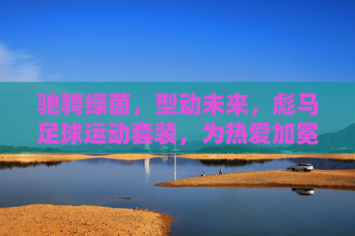 驰骋绿茵,型动未来,彪马足球运动套装,为热爱加冕,彪马足球运动套装,驰骋绿茵为热爱加冕,型动未来 驰骋绿茵,型动未来,彪马足球运动套装,为热爱加冕,彪马足球运动套装,驰骋绿茵为热爱加冕,型动未来