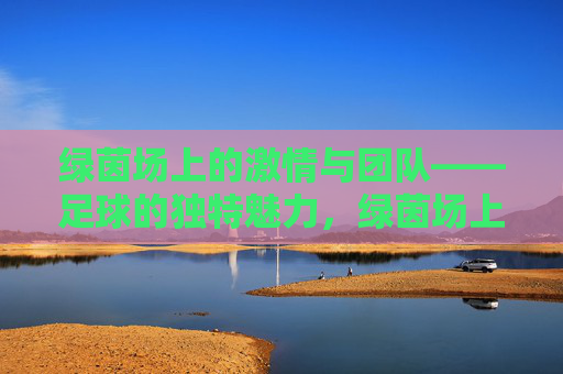 绿茵场上的激情与团队——足球的独特魅力，绿茵场上的激情与团队，足球的独特魅力