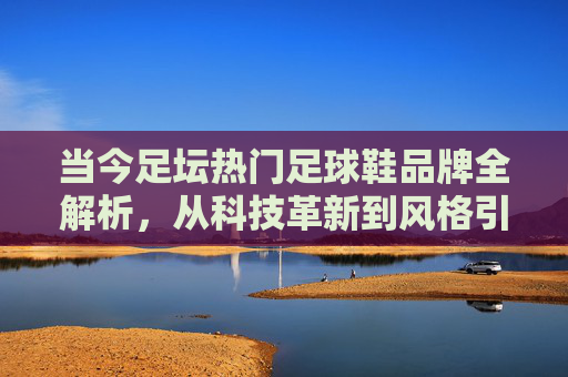 当今足坛热门足球鞋品牌全解析，从科技革新到风格引领，当今足坛热门足球鞋品牌全解析，科技革新与风格引领