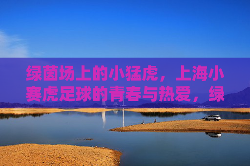 绿茵场上的小猛虎,上海小赛虎足球的青春与热爱,绿茵小猛虎,上海小赛虎足球的青春与热爱 绿茵场上的小猛虎,上海小赛虎足球的青春与热爱,绿茵小猛虎,上海小赛虎足球的青春与热爱
