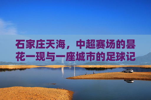 石家庄天海,中超赛场的昙花一现与一座城市的足球记忆,昙花一现的中超记忆,石家庄天海与一座城 石家庄天海,中超赛场的昙花一现与一座城市的足球记忆,昙花一现的中超记忆,石家庄天海与一座城