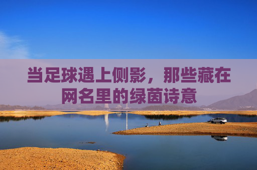 当足球遇上侧影，那些藏在网名里的绿茵诗意