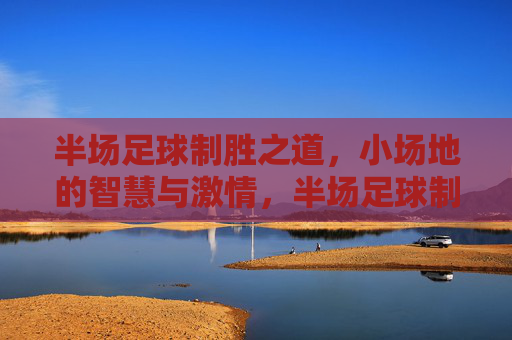 半场足球制胜之道，小场地的智慧与激情，半场足球制胜，小场地的智慧与激情