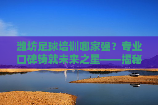 潍坊足球培训哪家强？专业口碑铸就未来之星——揭秘潍坊最好的足球培训，潍坊足球培训哪家强？专业口碑铸就未来之星