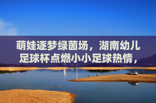 萌娃逐梦绿茵场，湖南幼儿足球杯点燃小小足球热情，萌娃逐梦绿茵场，湖南幼儿足球杯点燃足球热情