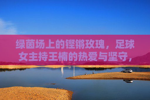 绿茵场上的铿锵玫瑰，足球女主持王楠的热爱与坚守，铿锵玫瑰王楠，绿茵场上的热爱与坚守