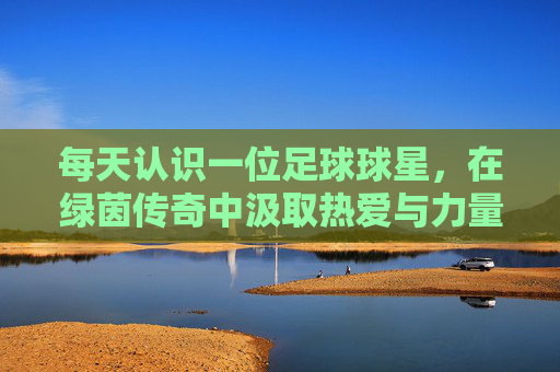 每天认识一位足球球星，在绿茵传奇中汲取热爱与力量，每日绿茵传奇，从足球球星身上汲取热爱与力量