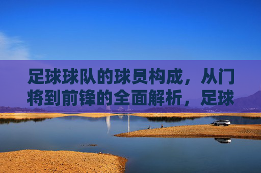 足球球队的球员构成，从门将到前锋的全面解析，足球球队球员构成，从门将到前锋的全面解析