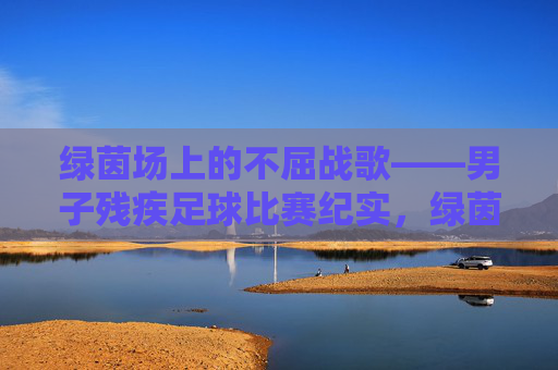 绿茵场上的不屈战歌——男子残疾足球比赛纪实，绿茵场上的不屈战歌——男子残疾足球