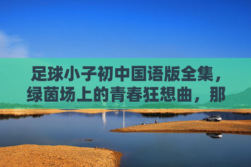 足球小子初中国语版全集,绿茵场上的青春狂想曲,那年夏天我们与足球共燃,足球小子,那年夏天的绿茵青春狂想 足球小子初中国语版全集,绿茵场上的青春狂想曲,那年夏天我们与足球共燃,足球小子,那年夏天的绿茵青春狂想
