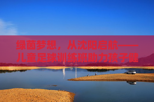 绿茵梦想,从沈阳启航——儿童足球训练班助力孩子健康成长,绿茵梦想启航,儿童足球训练班助力健康成长 绿茵梦想,从沈阳启航——儿童足球训练班助力孩子健康成长,绿茵梦想启航,儿童足球训练班助力健康成长