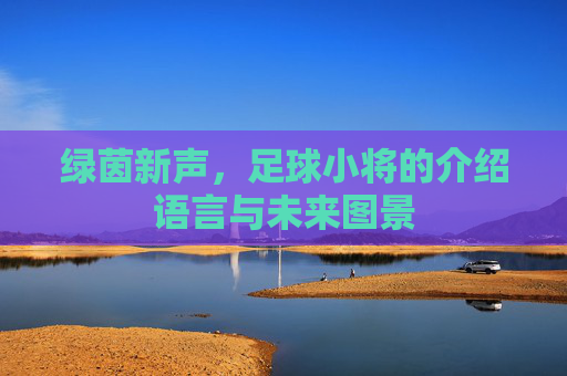 绿茵新声，足球小将的介绍语言与未来图景