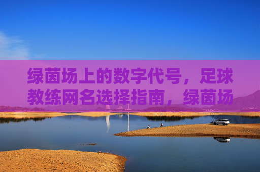绿茵场上的数字代号，足球教练网名选择指南，绿茵场数字代号，足球教练网名选择指南
