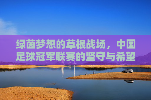 绿茵梦想的草根战场，中国足球冠军联赛的坚守与希望，草根绿茵战场，中国足球冠军联赛的坚守与希望