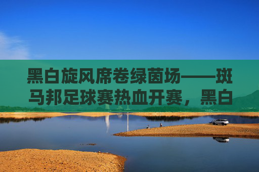 黑白旋风席卷绿茵场——斑马邦足球赛热血开赛，黑白旋风席卷绿茵场——斑马邦足球赛热血开赛