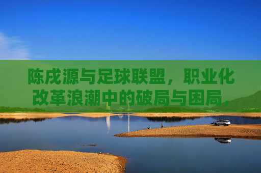 陈戌源与足球联盟，职业化改革浪潮中的破局与困局，陈戌源与足球联盟，职业化改革浪潮下的破局困局