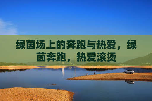 绿茵场上的奔跑与热爱，绿茵奔跑，热爱滚烫