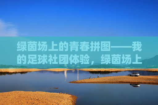 绿茵场上的青春拼图——我的足球社团体验，绿茵场上的青春拼图，足球社团体验