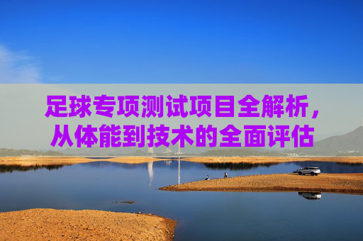 足球专项测试项目全解析,从体能到技术的全面评估 足球专项测试项目全解析,从体能到技术的全面评估