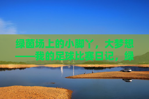 绿茵场上的小脚丫,大梦想——我的足球比赛日记,绿茵场小脚丫,足球大梦想日记 绿茵场上的小脚丫,大梦想——我的足球比赛日记,绿茵场小脚丫,足球大梦想日记
