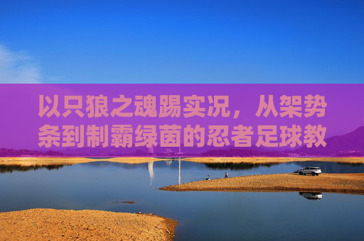 以只狼之魂踢实况,从架势条到制霸绿茵的忍者足球教程 以只狼之魂踢实况,从架势条到制霸绿茵的忍者足球教程