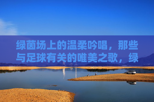 绿茵场上的温柔吟唱，那些与足球有关的唯美之歌，绿茵场的温柔吟唱，足球唯美之歌