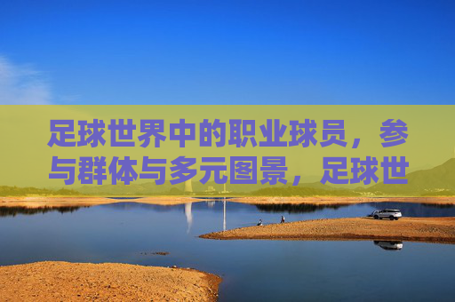 足球世界中的职业球员,参与群体与多元图景,足球世界职业球员,群体与多元图景 足球世界中的职业球员,参与群体与多元图景,足球世界职业球员,群体与多元图景