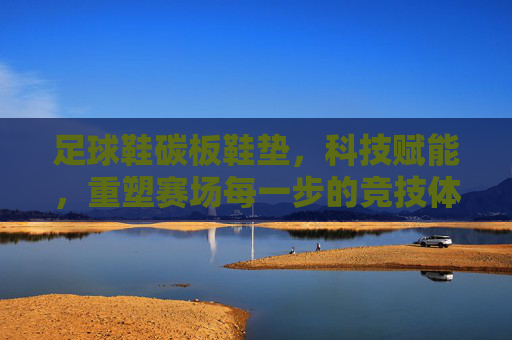 足球鞋碳板鞋垫,科技赋能,重塑赛场每一步的竞技体验,科技碳板鞋垫,重塑赛场每一步竞技体验 足球鞋碳板鞋垫,科技赋能,重塑赛场每一步的竞技体验,科技碳板鞋垫,重塑赛场每一步竞技体验
